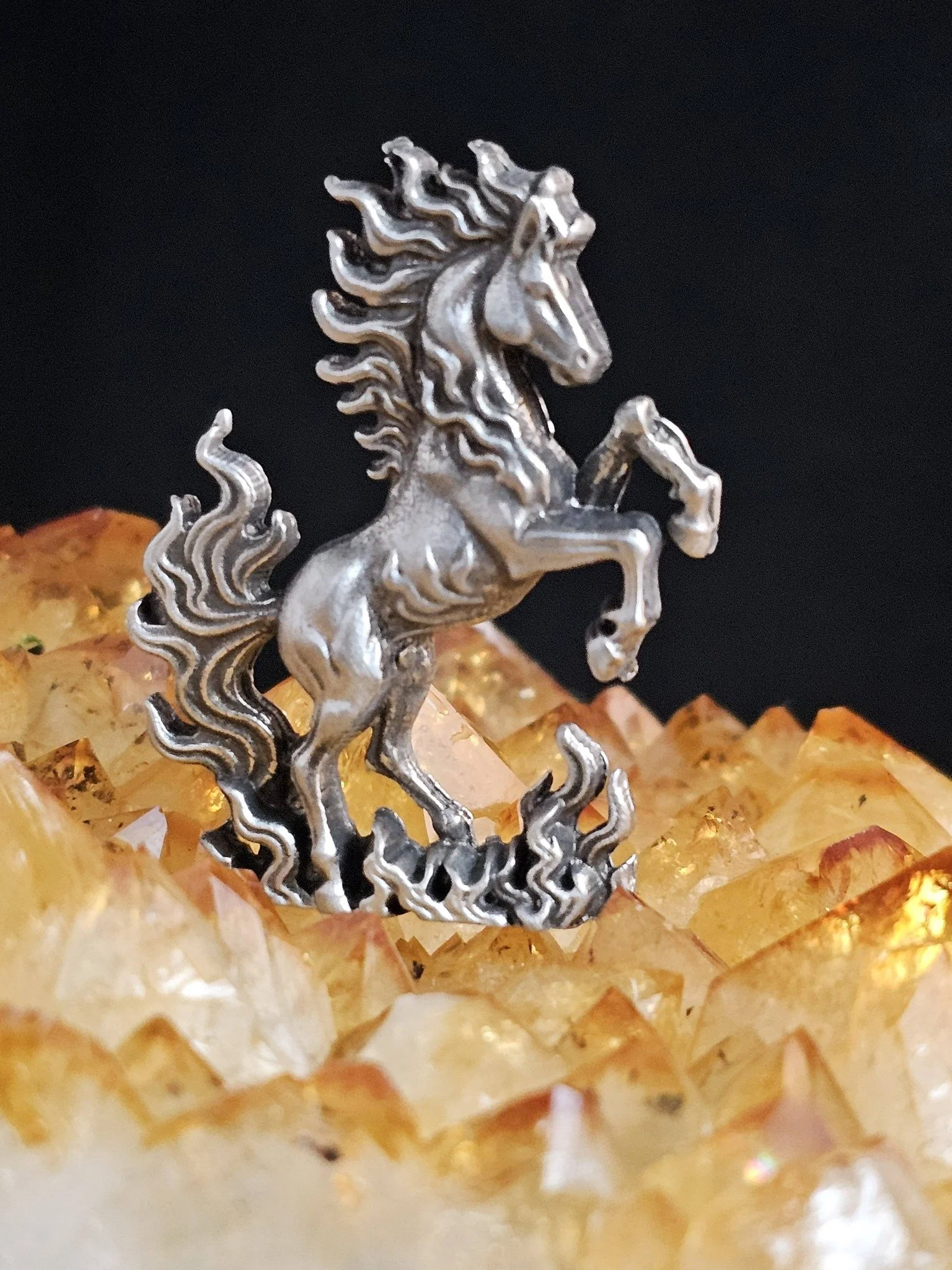 Wild Horses of Skydog: Blue Zeus and Families (Collectors Edition